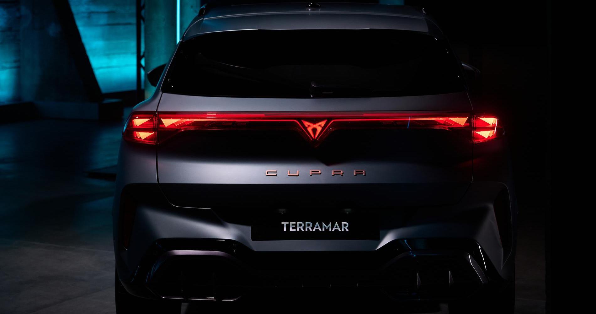 Cupra Terramar 7