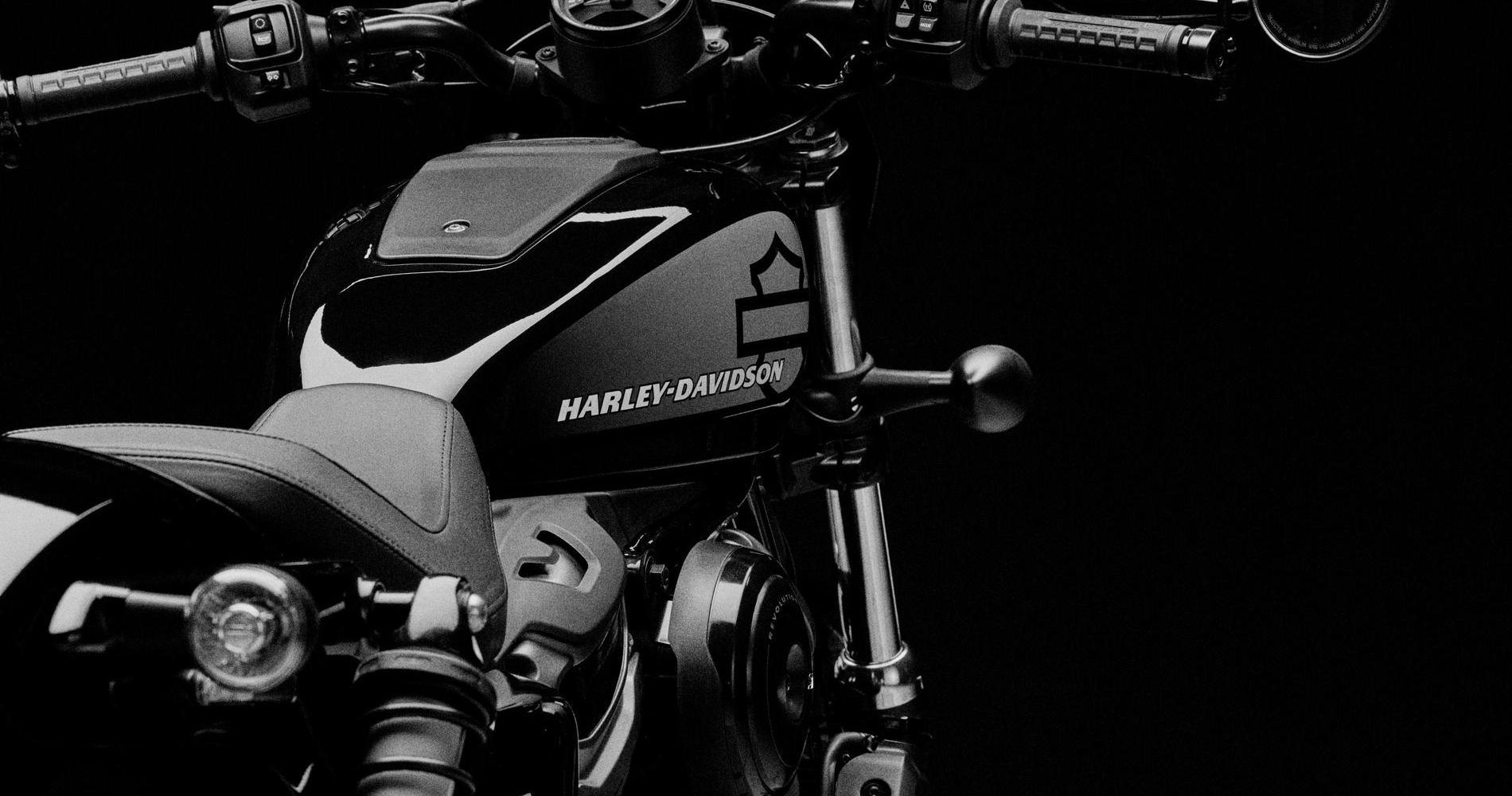 Harley Davidson Nightster 2022 5