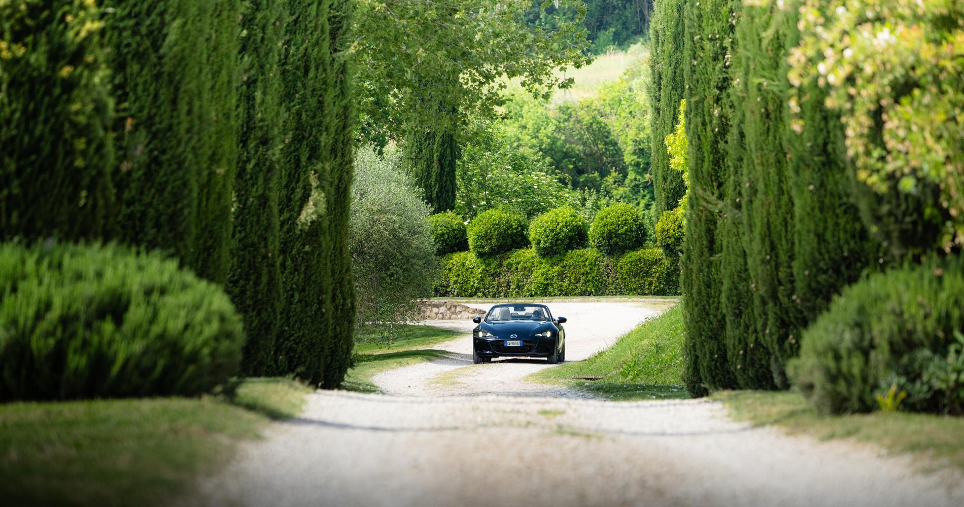 Mazda MX-5 ND Kazari anteriore